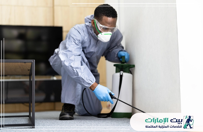 مكافحة رمة الخشب في دبي مكافحة رمة الخشب في دبي