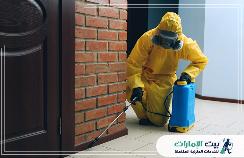 رش الرمة في دبي رش الرمة في دبي