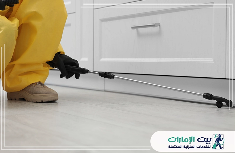 مكافحة رمة بدبي