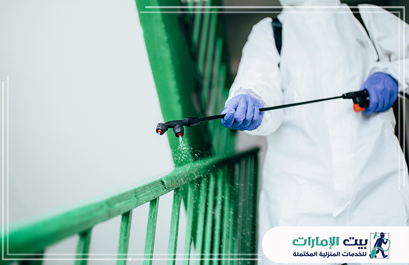 افضل شركة مكافحة الرمة في العين  افضل شركة مكافحة الرمة في العين