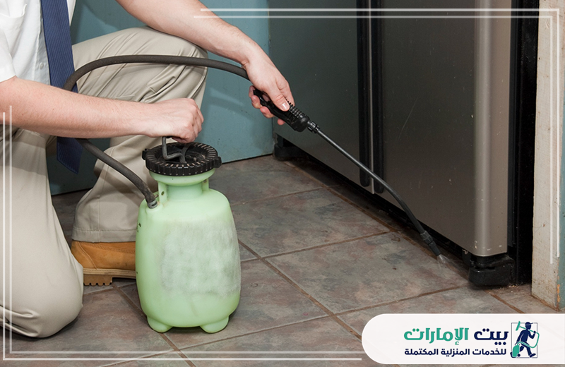 شركة مكافحة الرمة في ابوظبي