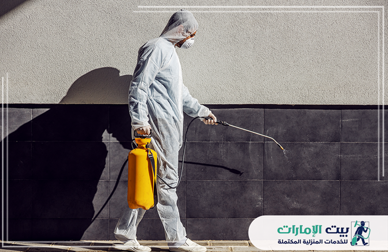 مكافحة رمة الخشب في العين مكافحة رمة الخشب في العين