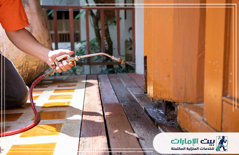 شركة مكافحة الرمة في العين