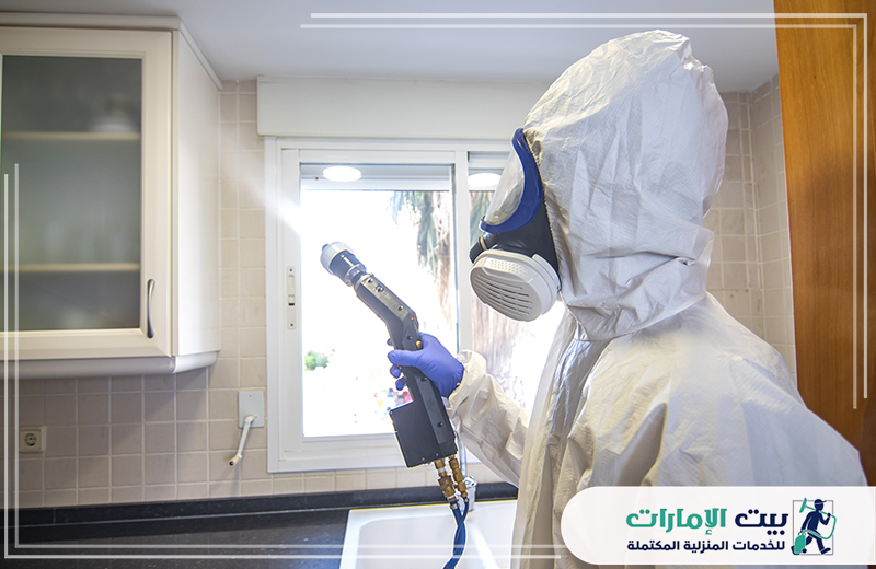 مكافحة النمل الابيض في العين مكافحة النمل الابيض في العين