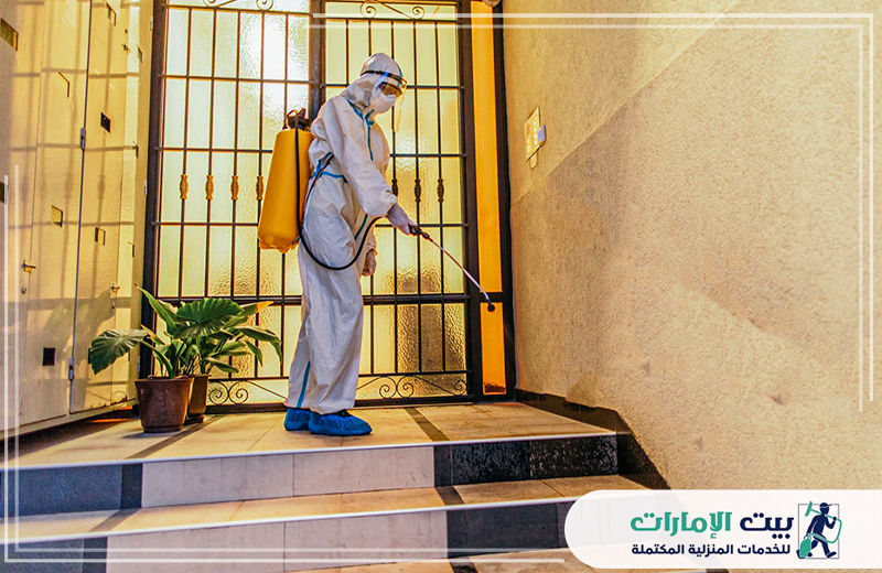 القضاء على حشرة الرمة القضاء على حشرة الرمة