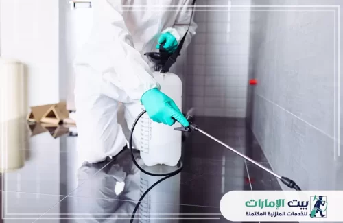 طرق مكافحة الرمة في الشارقة