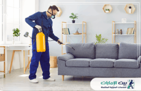 شركة مكافحة حشرات في رأس الخيمة