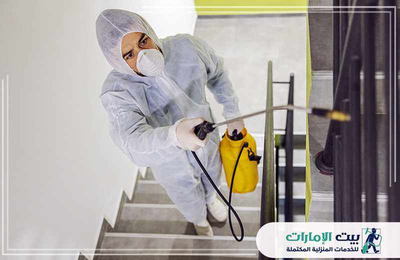 شركة مكافحة حشرات في العين