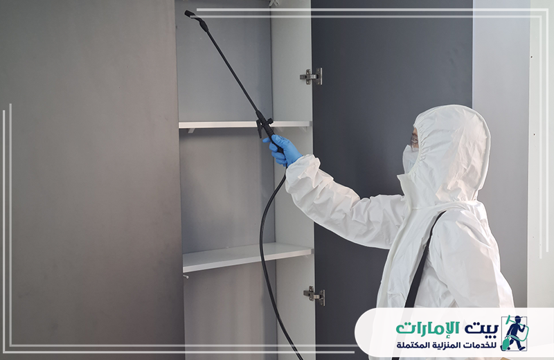 شركة رش حشرات العين 24 ساعة شركة رش حشرات العين 24 ساعة