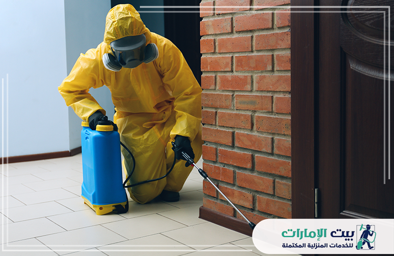 مكافحة الرمة في العين مكافحة الرمة في العين