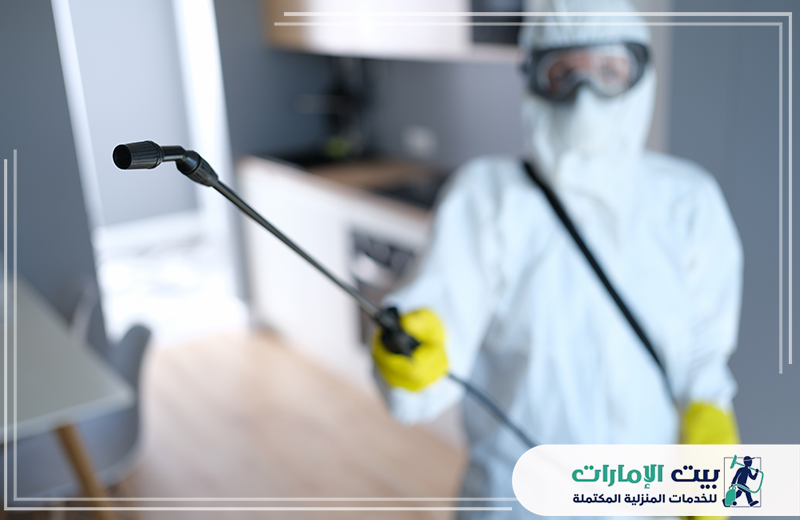 شركة مكافحة الفئران في العين شركة مكافحة الفئران في العين