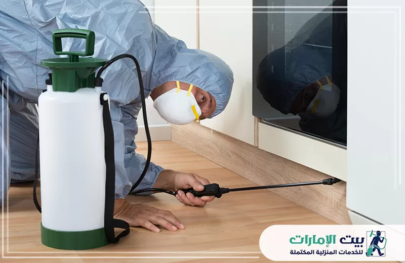أفضل شركة مكافحة حشرات في العين أفضل شركة مكافحة حشرات في العين