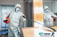 شركة مكافحة حشرات في رأس الخيمة