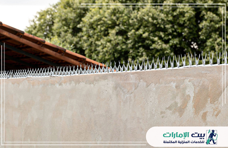 شركة مكافحة الحمام في ابوظبي