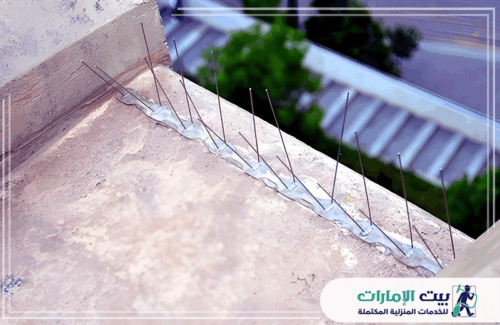 تركيب سيلكون طارد الحمام في الشارقة تركيب سيلكون طارد الحمام في الشارقة