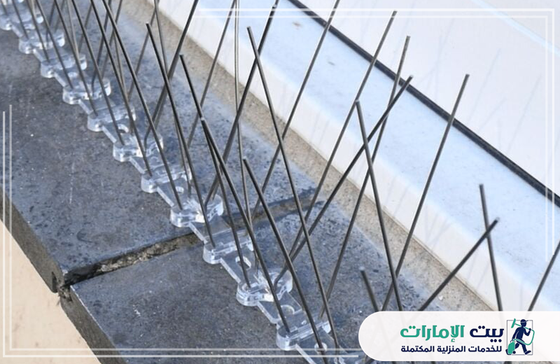 شركة مكافحة حمام في دبي