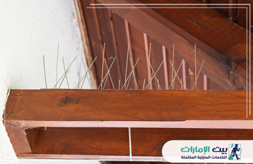 لا تتركوا مساحة للحمام في عوارضكم الخشبية العلوية! تُبين الصورة تركيب أشواك رفيعة من الفولاذ المقاوم للصدأ على شعاع خشبي تحت السقف، لتوفير حماية خفية وقوية. شركة بيت الإمارات 0509783583 تقدم حلولاً مخصصة لأي موقع تعشيش، لضمان بيئة نظيفة وصحية لأسرتك والوقاية من الروائح الكريهة.