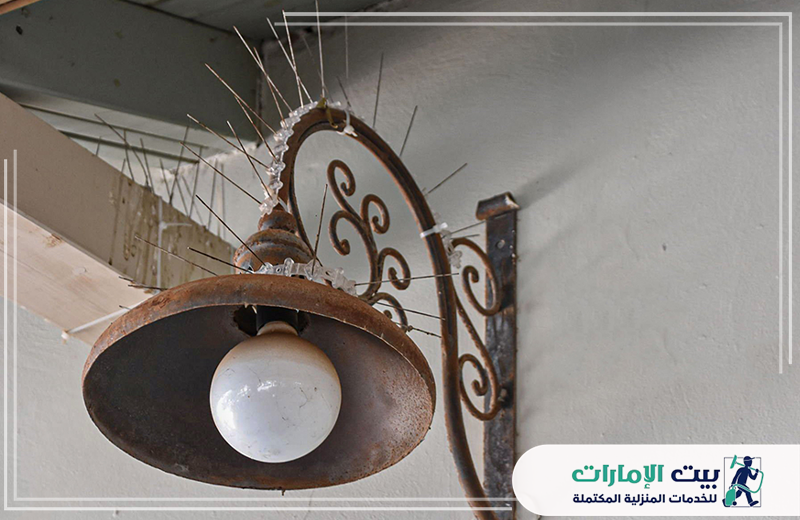 أفضل شركة مكافحة الحمام أم القيوين 0509783583 بيت الإمارات أفضل شركة مكافحة الحمام أم القيوين