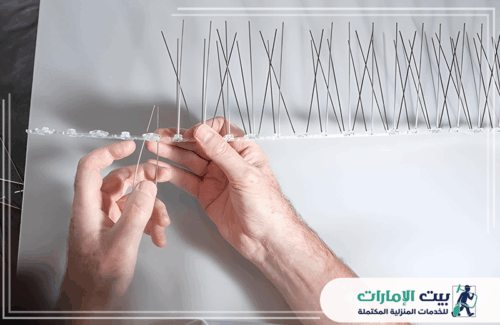 تركيب طارد الحمام من الشبابيك في الشارقة  تركيب طارد الحمام من الشبابيك في الشارقة