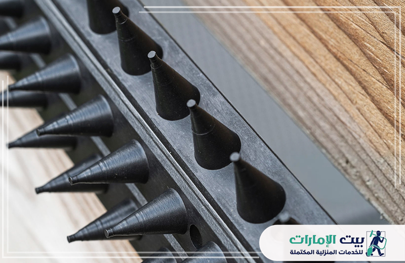 مكافحة الحمام في العين