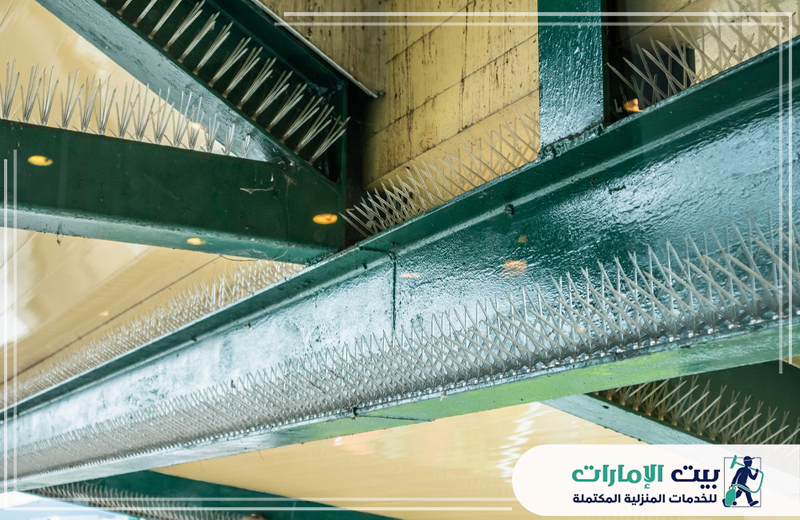 طارد الطيور في أم القيوين 0509783583 بيت الإمارات طارد الطيور في أم القيوين