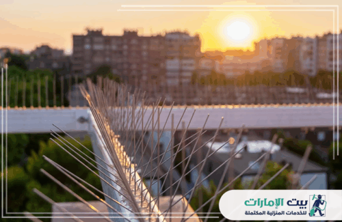 شركة مكافحة الطيور في الفجيرة 0509783583 شركة بيت الإمارات شركة مكافحة الطيور في الفجيرة تقدم حلولاً فعالة باستخدام أساليب حديثة، مثل تركيب أسلاك الطيور على الأسطح لحمايتها من التلوث والإزعاج