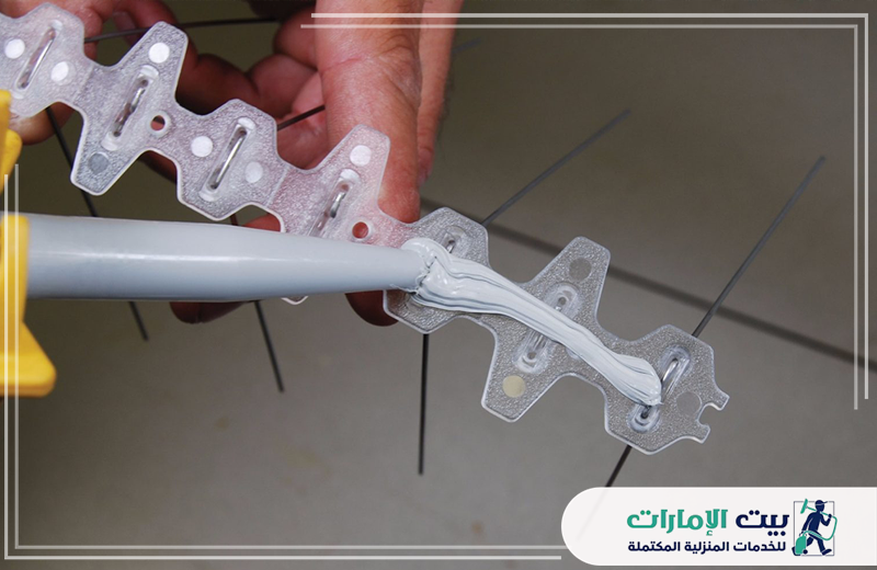 شركة مكافحة الحمام في العين