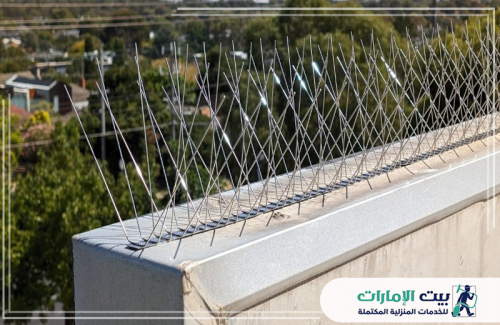 الفعالية المطلقة في مكافحة تجمعات الحمام الكثيفة تجدونها فقط مع شركة بيت الإمارات 0509783583. تظهر هذه الأشواك الفولاذية اللامعة والمركبة بشكل مائل وكثيف على السطح، مما يجعل الهبوط مستحيلاً على الإطلاق. إنها حماية متكاملة وعمرها طويل، لحماية أسقفكم وجدرانكم من الأضرار والفضلات المسببة للتآكل.