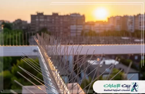 حلول شركة بيت الإمارات 0509783583 تمنحك أسطحًا محمية وجميلة. تُظهر هذه الصورة تركيب أشواك مكافحة الحمام المعدنية عالية الجودة على حافة المبنى، مانعة وقوف الطيور بفعالية وتحمي منظر المدينة الرائع وقت الغروب. نحن نضمن لك التخلص النهائي من فضلات الحمام وأضراره مع الحفاظ على المظهر العام.