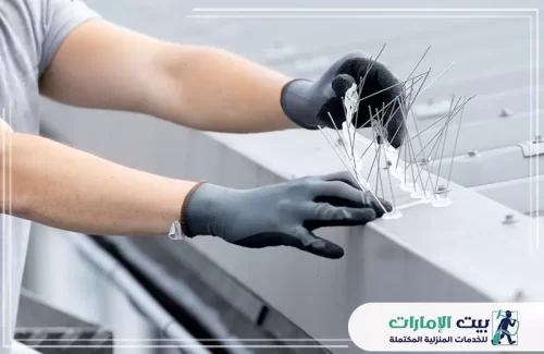 أفضل طريقة لطرد الحمام من المنزل في الشارقة أفضل طريقة لطرد الحمام من المنزل في الشارقة