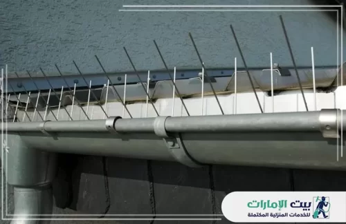 طرق فيزيائية لمكافحة الحمام في الشارقة طرق فيزيائية لمكافحة الحمام في الشارقة