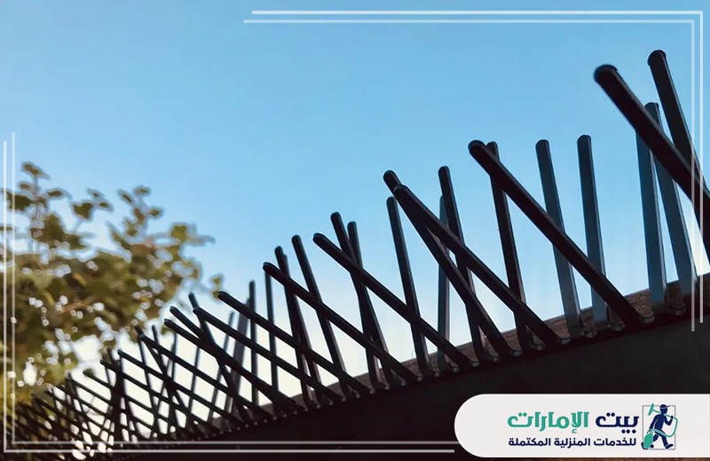 شركة مكافحة الحمام براس الخيمة 0509783583 بيت الإمارات نقدم في شركة مكافحة الحمام براس الخيمة حماية كاملة لمنزلك ضد الطيور وتركيب أشواك على الأسوار.