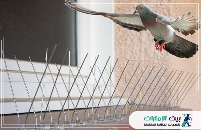 شركة مكافحة الحمام براس الخيمة 0509783583 بيت الإمارات تركيب طارد الحمام في راس الخيمة على النوافذ. لمنع الطيور وحماية الواجهات بفعالية.