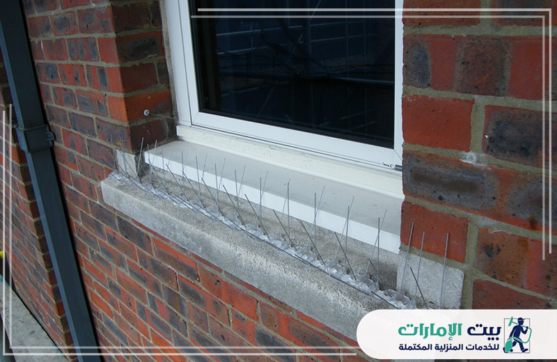 شركة مكافحة الحمام براس الخيمة 0509783583 بيت الإمارات نوفر خدمة متكاملة للتخلص من إزعاج وفضلات الحمام، باستخدام أحدث حلول طرد الحمام في رأس الخيمة.