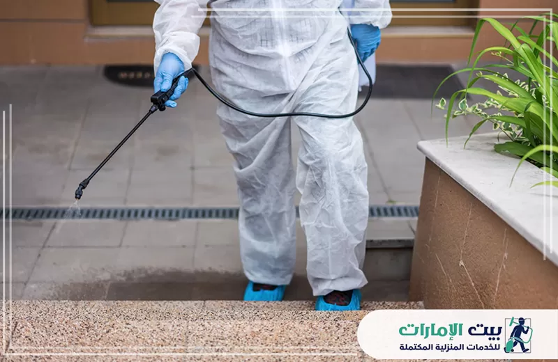 شركة تعقيم منازل في الامارات