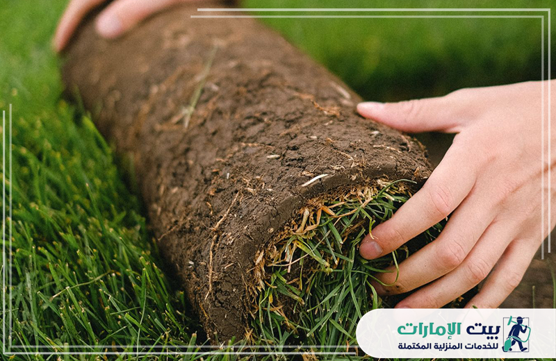 تركيب عشب صناعي في راس الخيمة