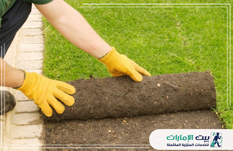 تنظيف العشب الصناعي