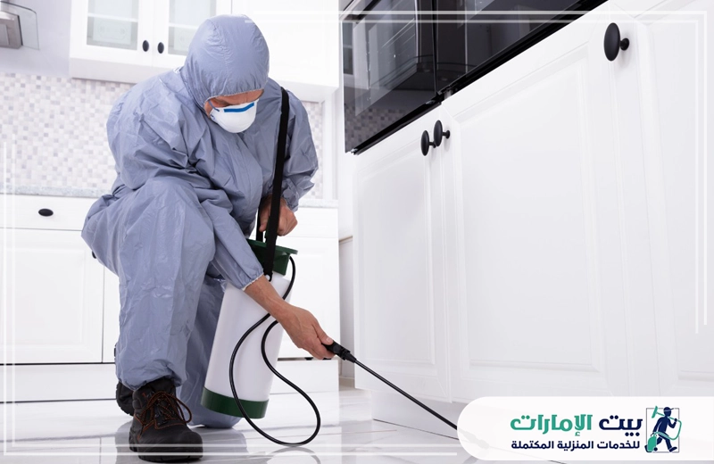 شركة مكافحة الحمام في دبي شركة مكافحة الحمام في دبي