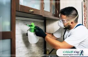 شركة مكافحة حشرات في دبي