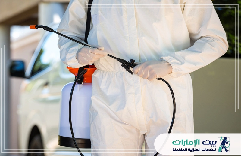 شركة مكافحة البق دبي شركة مكافحة البق دبي