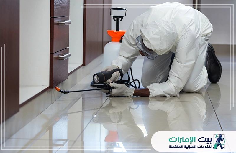 شركة مكافحة النمل في دبي شركة مكافحة النمل في دبي