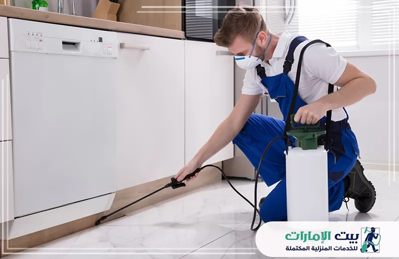 شركة مكافحة الفئران في دبي شركة مكافحة الفئران في دبي