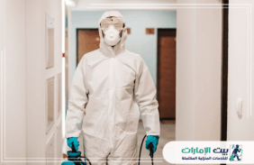 شركة مكافحة حشرات في الشارقة