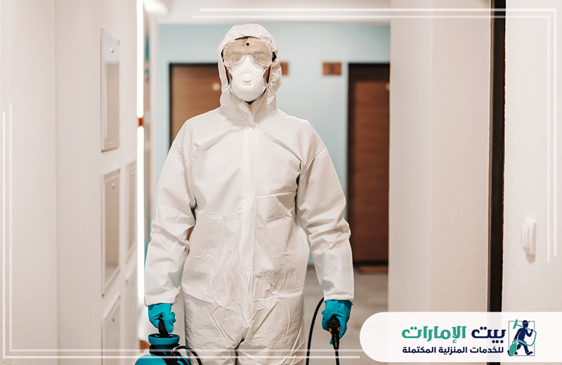 شركة مكافحة حشرات في الشارقة