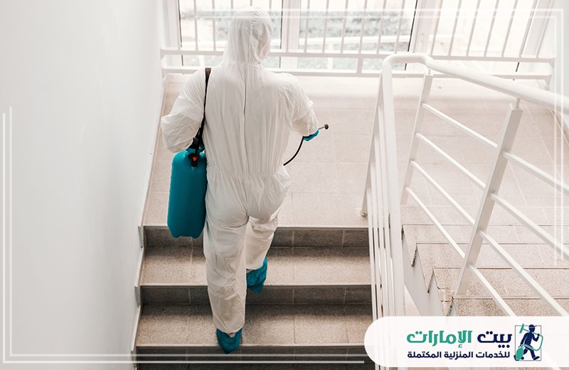 مكافحة الصراصير في الشارقة افضل شركة مكافحة حشرات في الشارقة