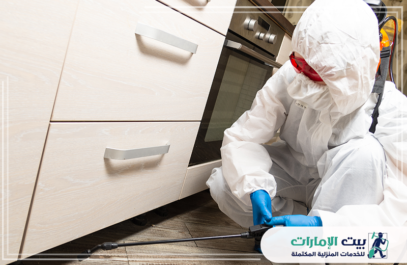 شركة مكافحة الصراصير في الشارقة شركة مكافحة الصراصير في الشارقة