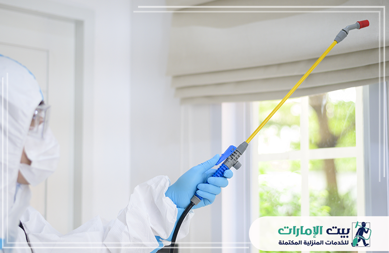 شركة مكافحة الفئران في الشارقة شركة مكافحة الفئران في الشارقة