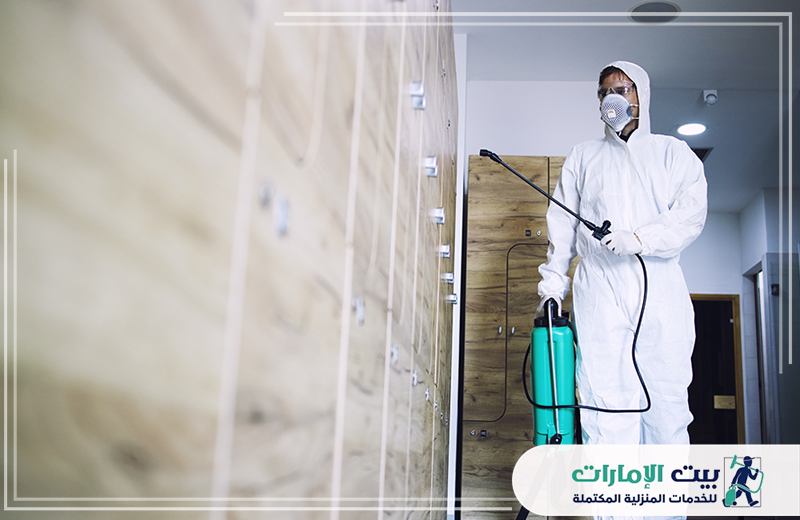 شركة رش حشرات في الشارقة شركة رش حشرات في الشارقة