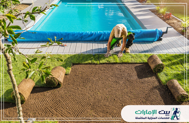 أفضل تركيب عشب صناعي في ام القيوين