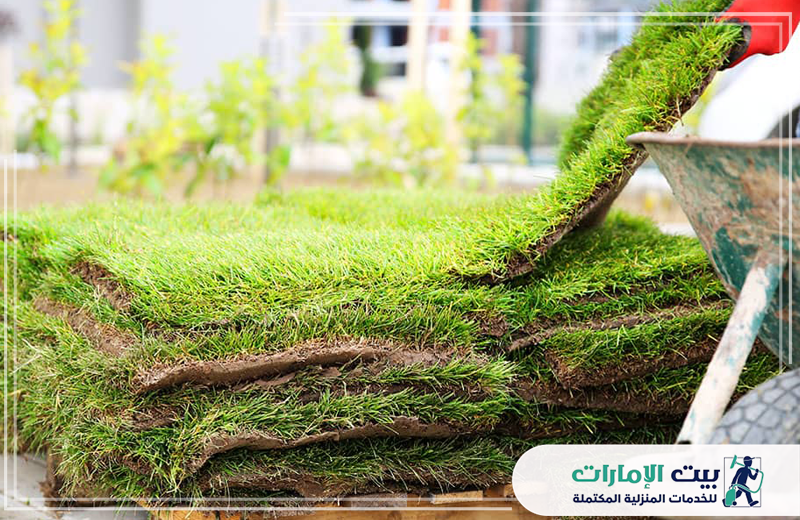 تركيب عشب صناعي العين